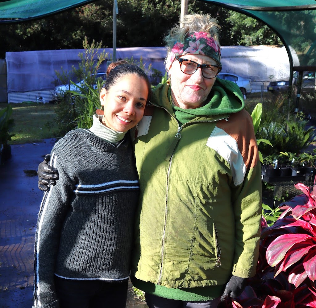 Crystal Nursery | Crooks Valley Rd, Crystal Creek NSW 2484, Australia | Phone: 0487 393 831
