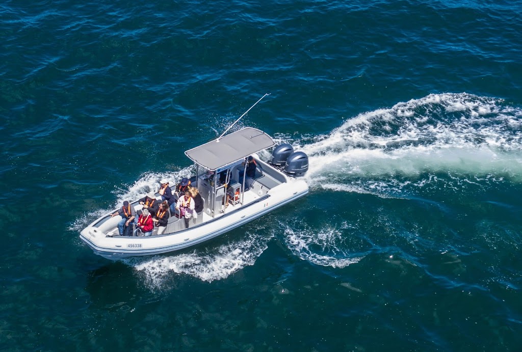 Terrigal Ocean Tours | tourist attraction | Terrigal Boat Ramp, Terrigal NSW 2260, Australia | 0449999868 OR +61 449 999 868