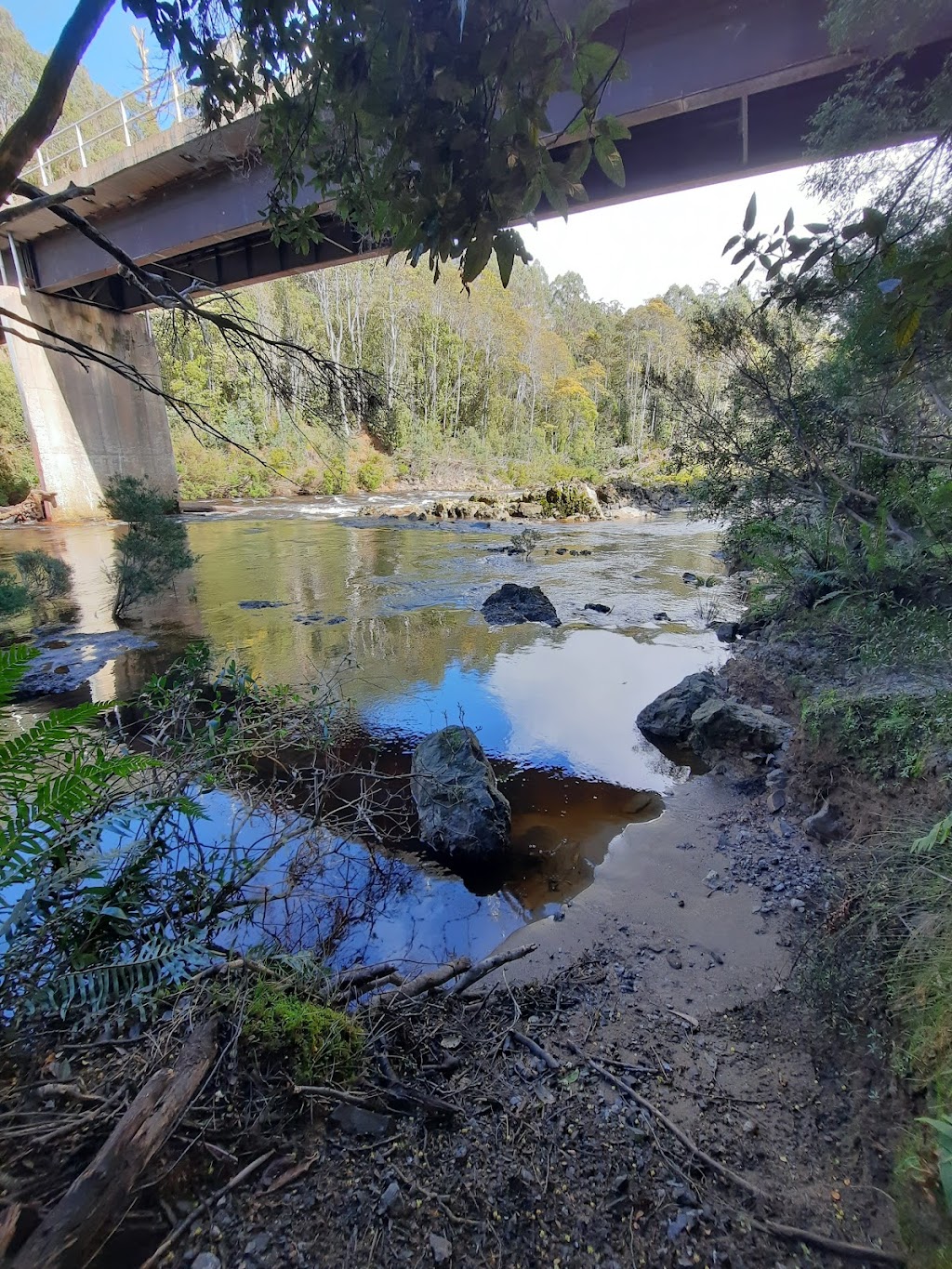 Kanunnah Bridge | tourist attraction | Sumac Rd, West Coast TAS 7330, Australia | 0364643014 OR +61 3 6464 3014