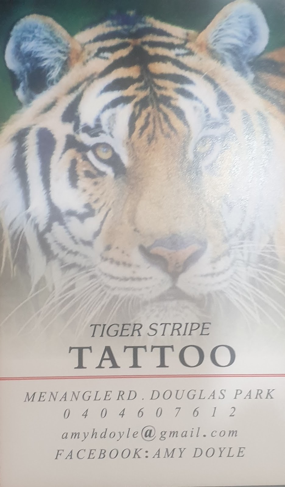 Tiger Stripe tattoo shop | 625 Menangle Rd, Douglas Park NSW 2569, Australia | Phone: 0404 607 612