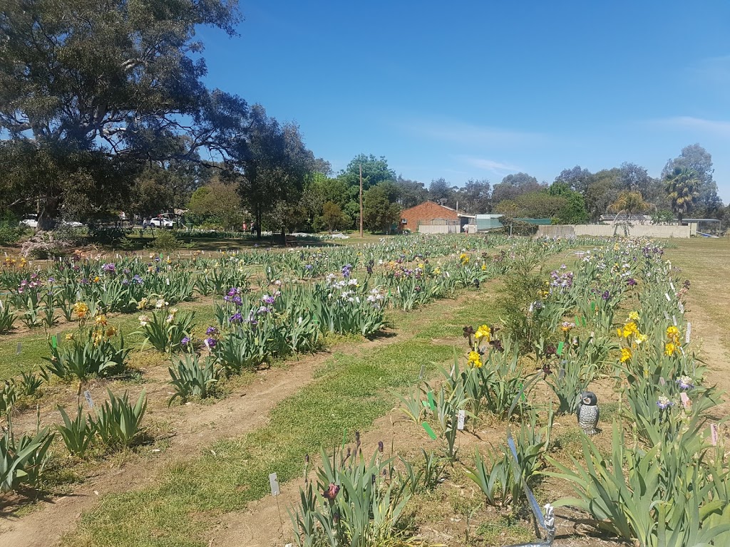 Riverina Iris Farm | park | 13 Sycamore Rd, Lake Albert NSW 2650, Australia | 0432777142 OR +61 432 777 142