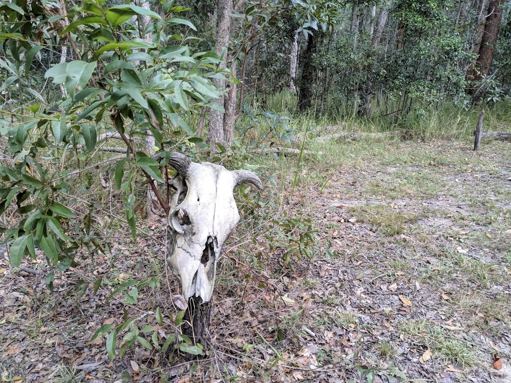 North Kobble Creek Bush Camp | Kobble Creek QLD 4520, Australia