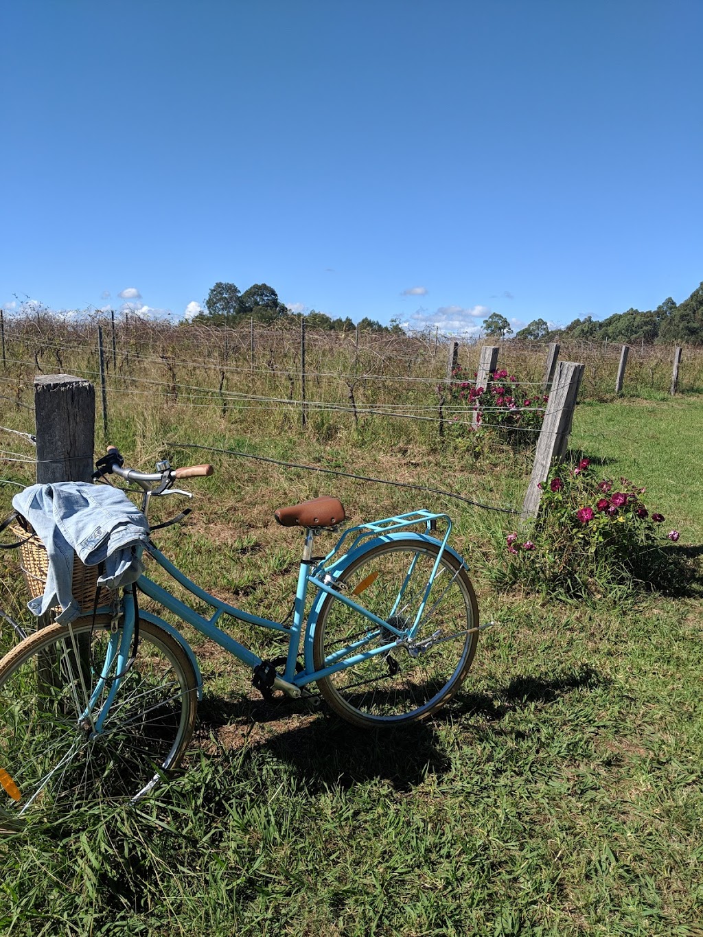 Pokolbin Brothers Wines | food | 307 Palmers Ln, Pokolbin NSW 2320, Australia | 0448987660 OR +61 448 987 660