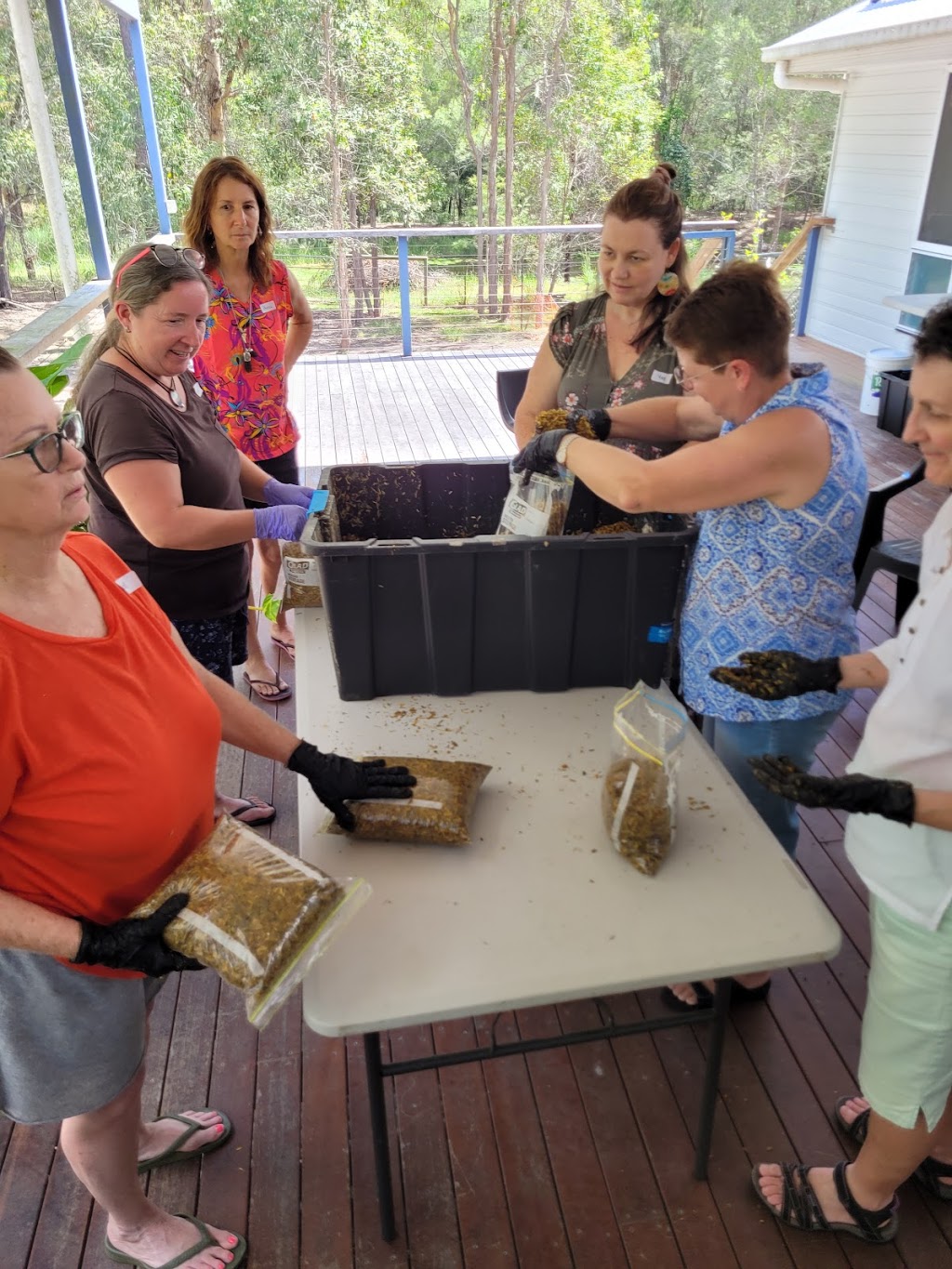 The Lotus Cottage | 8/14 Conifer Ct, Logan Village QLD 4207, Australia | Phone: 0435 774 564 The Lotus Cottage | 8/14 Conifer Ct, Logan Village QLD 4207, Australia | Phone: 0435 774 564