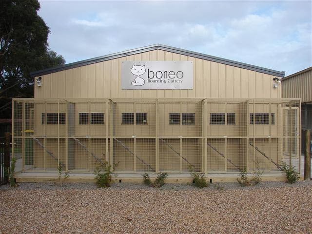 Boneo Boarding Cattery | veterinary care | 31 Sandy Rd, Boneo VIC 3939, Australia | 0359886772 OR +61 3 5988 6772