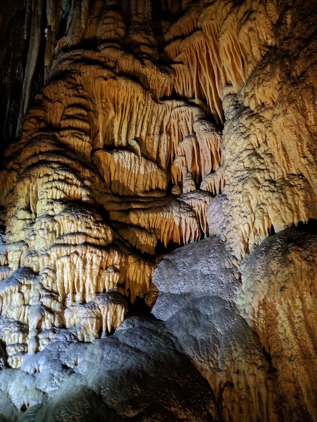 Hastings Caves and Thermal Springs | 754 Hastings Caves Rd, Hastings TAS 7109, Australia | Phone: (03) 6298 3209