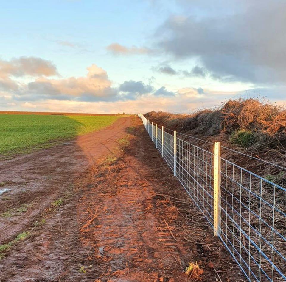 Fence In Pty Ltd | 52 Linton-Piggoreet Rd, Linton VIC 3360, Australia | Phone: 0437 417 797