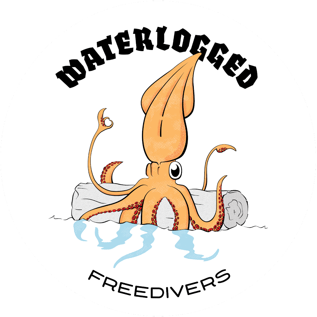 Waterlogged Freedivers | 38 Dominic Dr, Batehaven NSW 2536, Australia | Phone: 0402 655 513