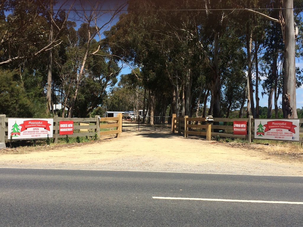 Moorooduc Christmas Tree Farm | 249 Mornington-Tyabb Rd, Moorooduc VIC 3933, Australia | Phone: 0412 969 177