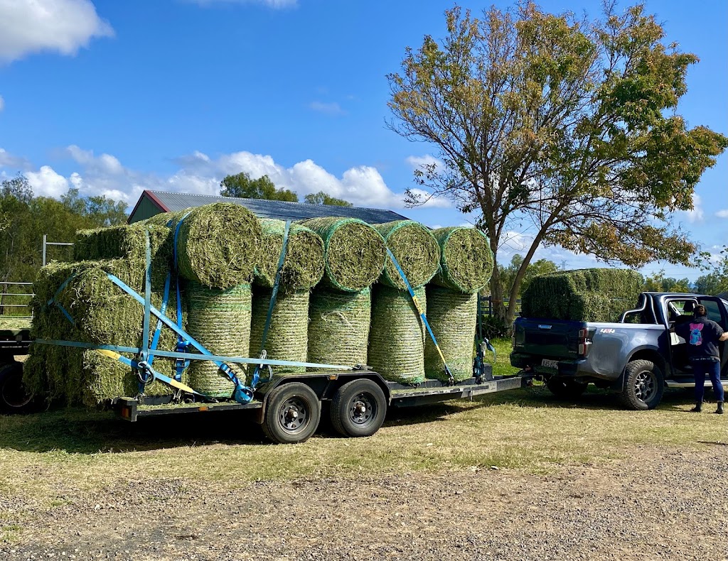 Old Mill Organic Farm | 186 Ingoldsby Rd, Upper Tenthill QLD 4343, Australia | Phone: 0419 798 060