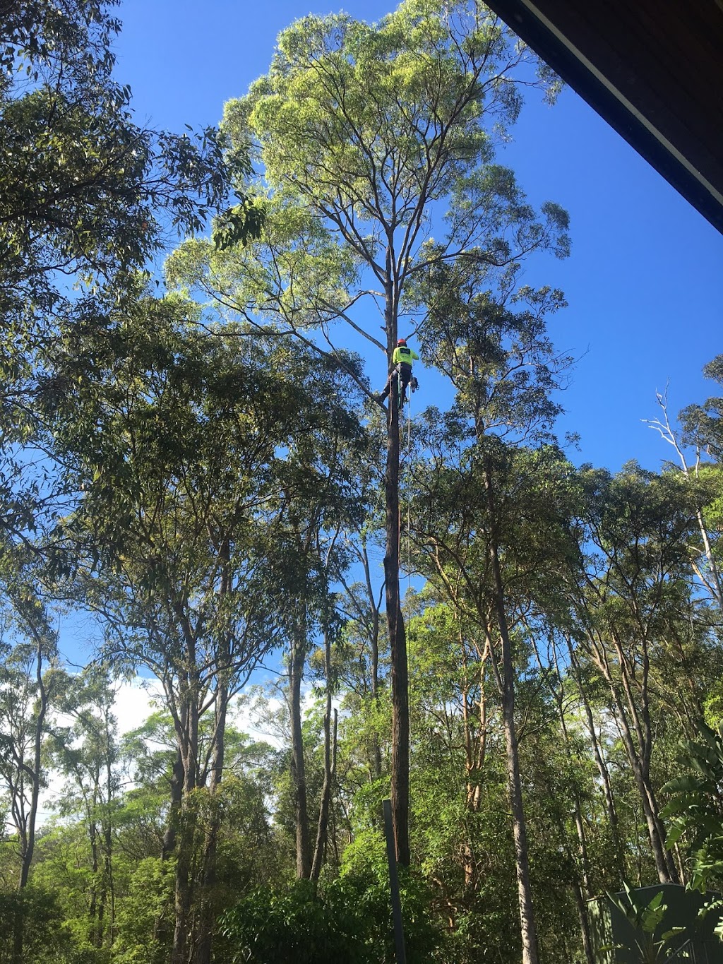 North Brisbane Trees | park | 1894 Mount Samson Rd, Yugar QLD 4520, Australia | 0732893610 OR +61 7 3289 3610