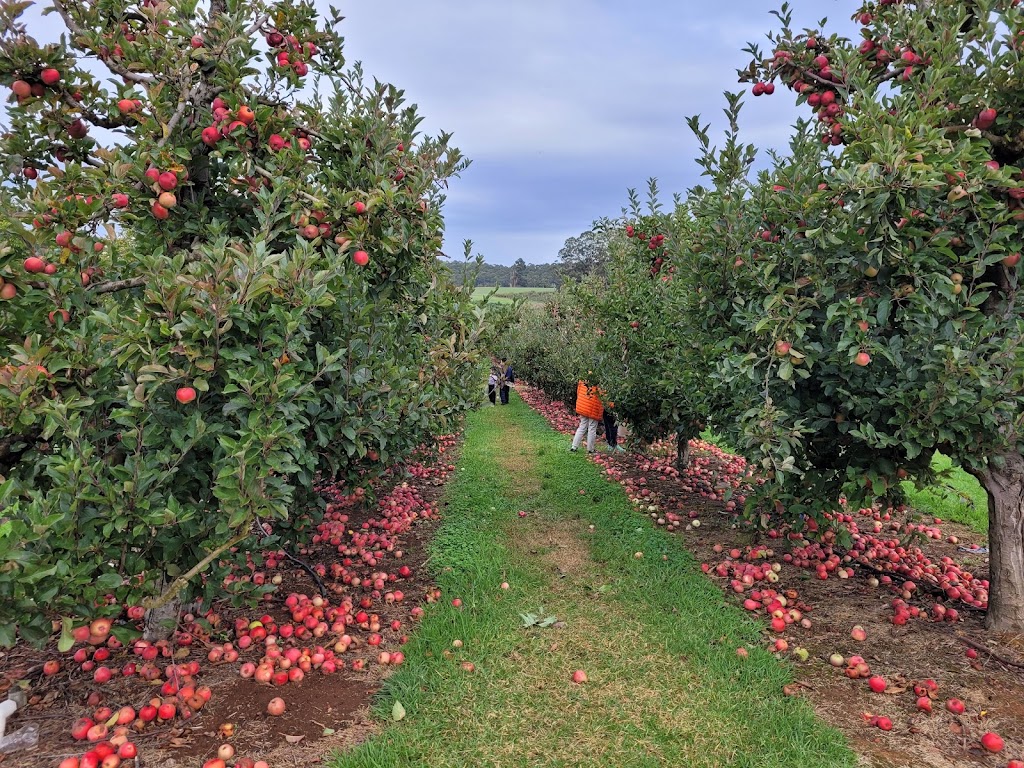 Fontanini Fruit and Nut Farm |  | Seven Day Rd, Manjimup WA 6258, Australia | 0897712887 OR +61 8 9771 2887