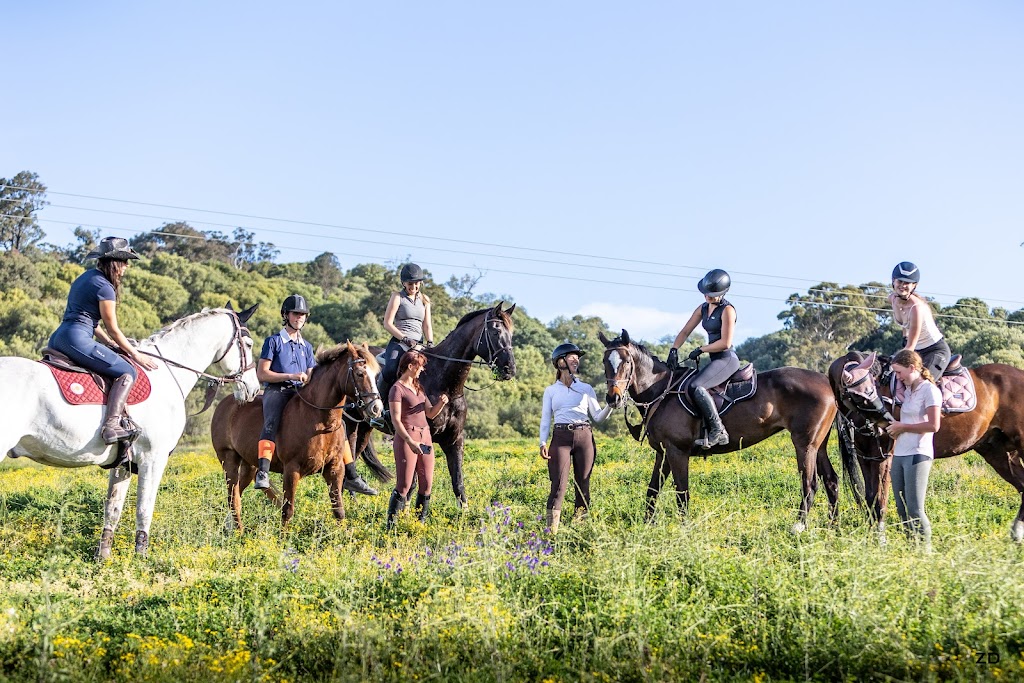 Sydney Showjumping | 225 Spring Creek Rd, Mount Hunter NSW 2570, Australia | Phone: 0467 555 561
