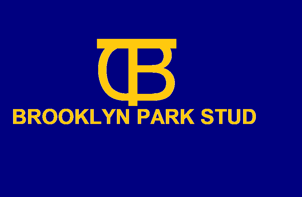 Brooklyn Park Stud | 93 Nile Rd, Evandale TAS 7212, Australia | Phone: 0400 416 406