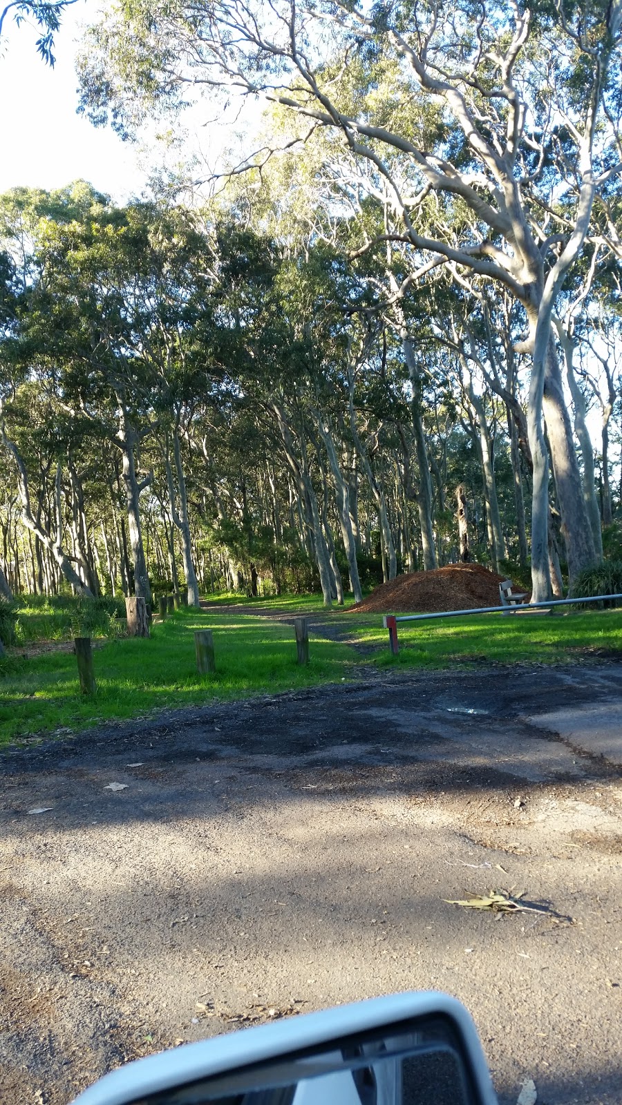Craigie Park | park | 2W Tuggerawong Rd, Wyongah NSW 2259, Australia