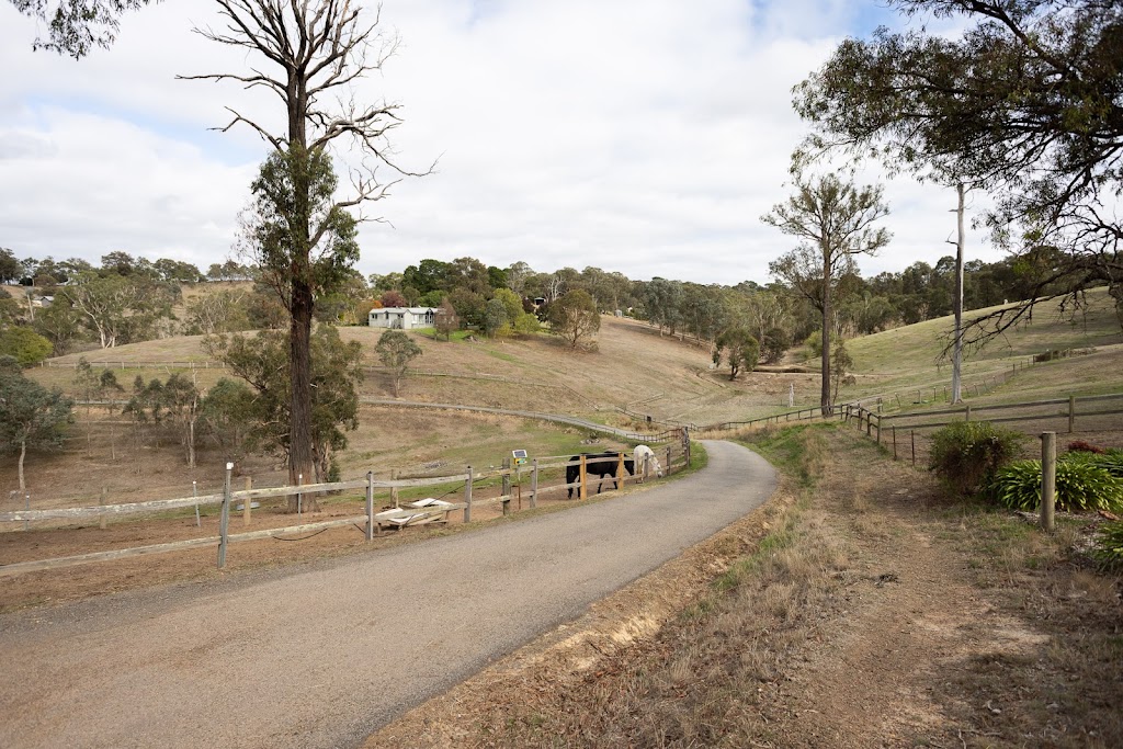 Unicorn Valley Therapies | 85 Alma Rd, Panton Hill VIC 3759, Australia | Phone: 0408 522 205