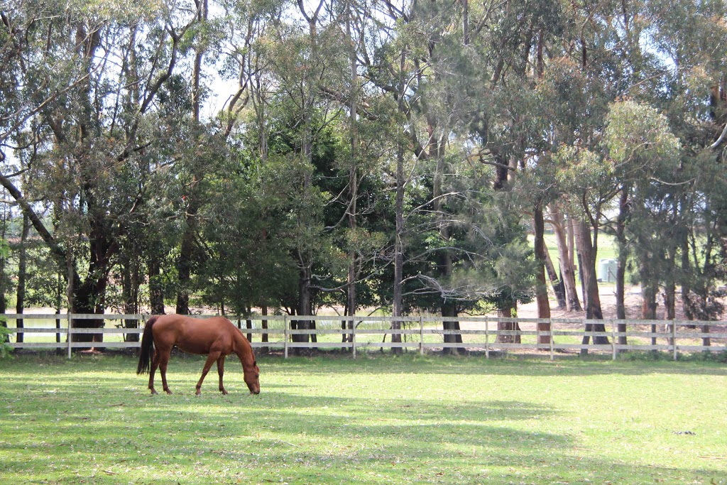 Janannie Park Horse Agistment |  | 324 Darkes Forest Rd, Darkes Forest NSW 2508, Australia | 0407932252 OR +61 407 932 252