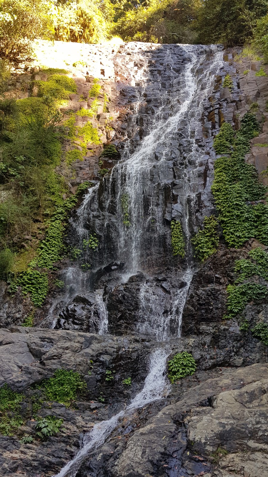 Crystal Shower Falls | park | 142 Dome Rd, Dorrigo Mountain NSW 2453, Australia