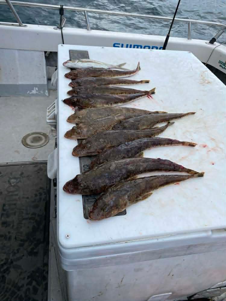 Tasmania Double Hook Fishing Charters | Jetty Rd, Port Arthur TAS 7182, Australia | Phone: 0457 138 166