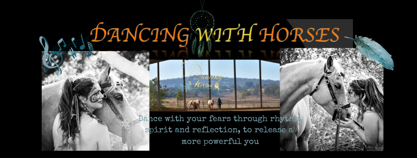Dancing with Horses | 486 Mount Tully Rd, Mount Tully QLD 4380, Australia | Phone: 0408 440 481