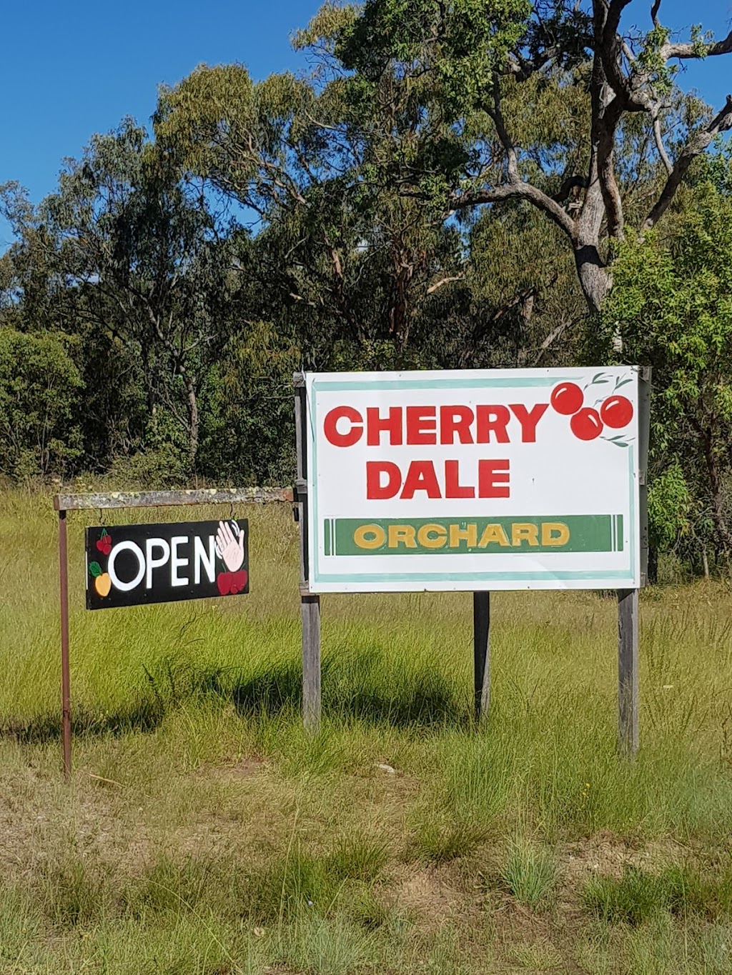 Cherrydale Orchard | Tenterfield NSW 2372, Australia | Phone: 0403 198 486