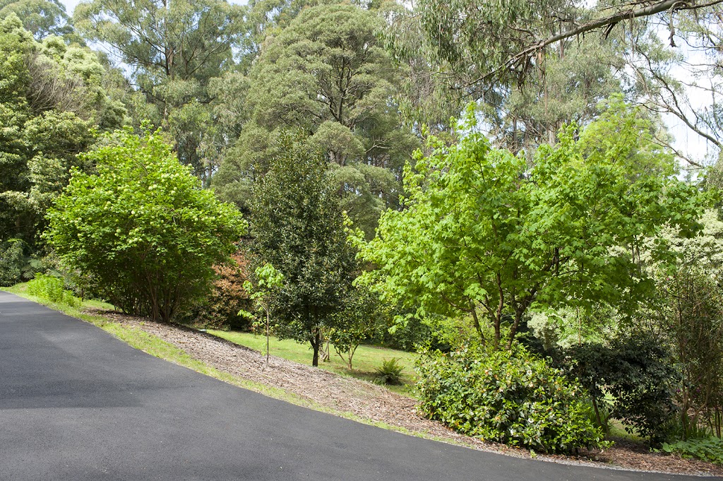 Mountain Lodge Dandenong Ranges Accommodation | lodging | 1354 Mount Dandenong Tourist Rd, Mount Dandenong VIC 3767, Australia | 0422494871 OR +61 422 494 871