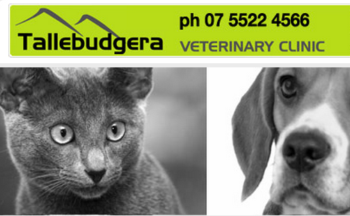 Tallebudgera Veterinary Clinic | veterinary care | 1/7 Trees Rd, Tallebudgera QLD 4228, Australia | 0755224566 OR +61 7 5522 4566