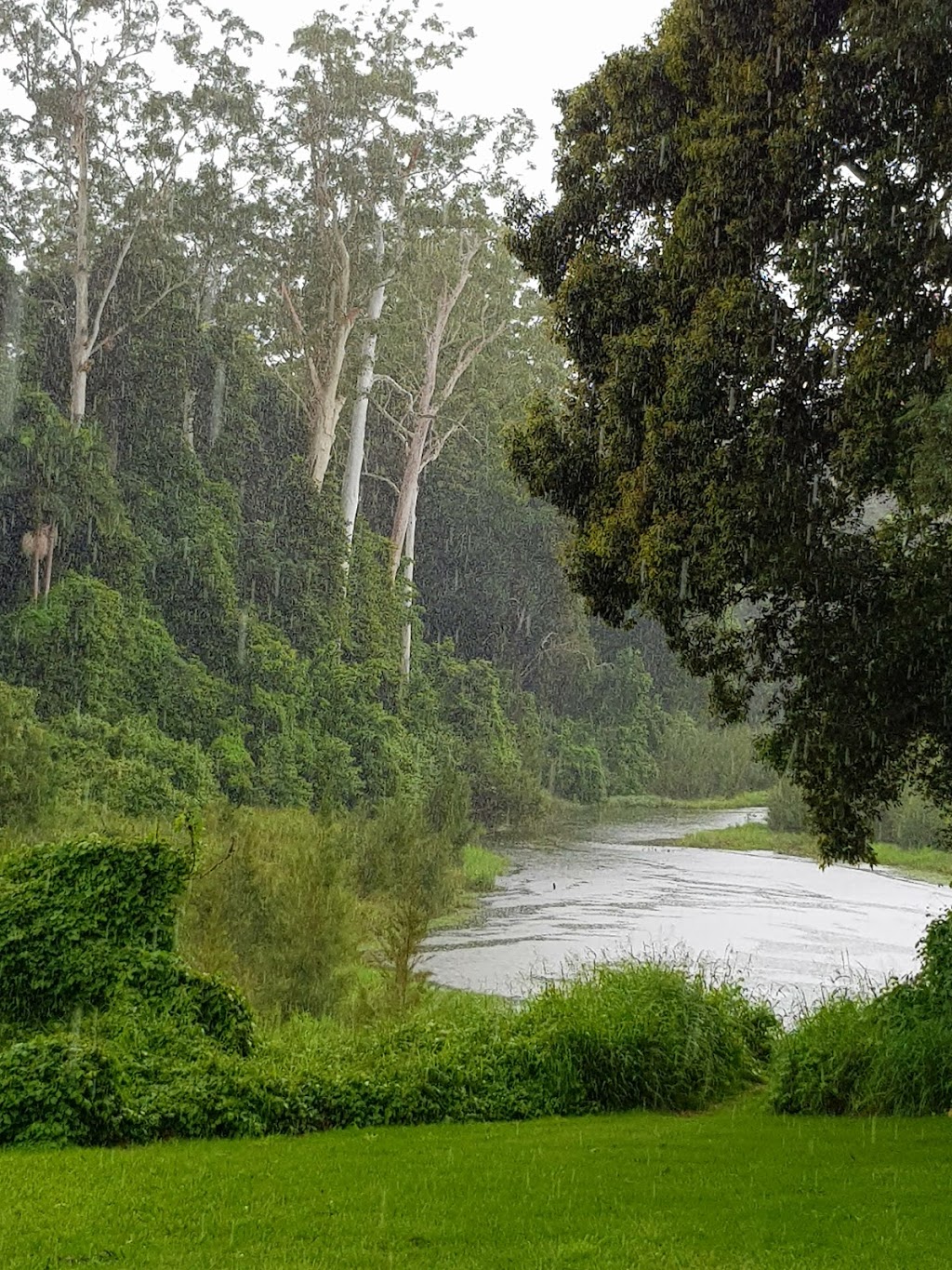 Little Yabba Creek Park | 3145 Maleny Kenilworth Rd, Kenilworth QLD 4552, Australia