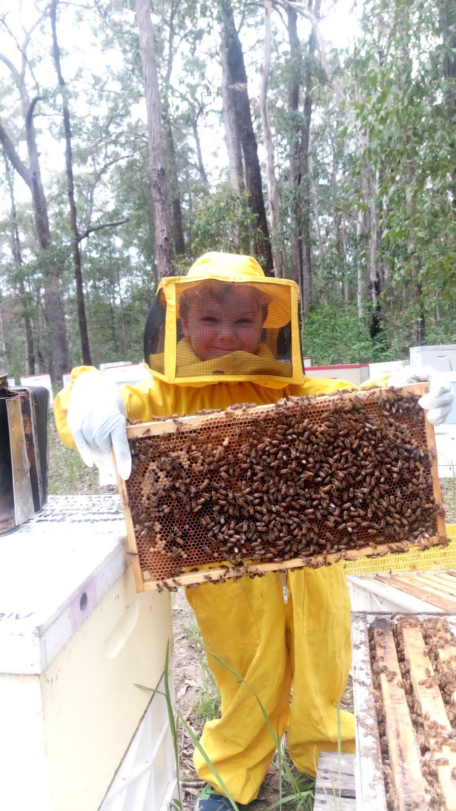 Mid Coast Honey | health | 17 Wallis St, Elands NSW 2429, Australia | 0265504562 OR +61 2 6550 4562