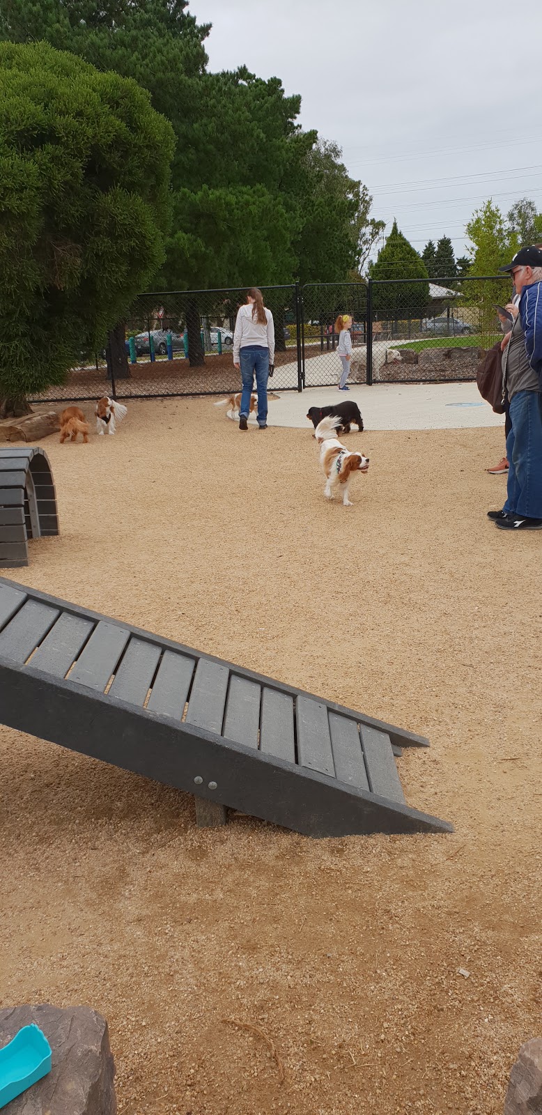 Brooklyn Dog Park | park | Cypress Ave, Brooklyn VIC 3012, Australia