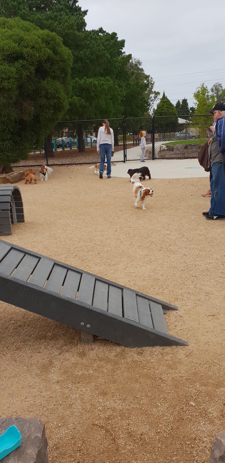 Brooklyn Dog Park | Cypress Ave, Brooklyn VIC 3012, Australia