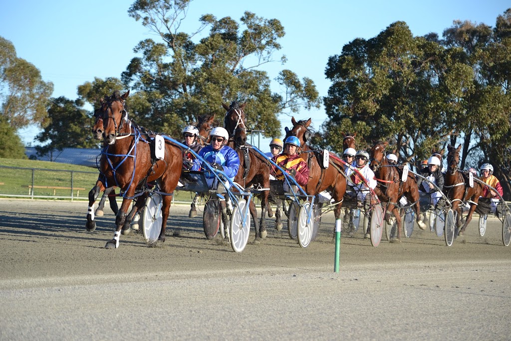 Pinjarra Harness Racing Club |  | 7 Paceway Ct, Pinjarra WA 6208, Australia | 0895311941 OR +61 8 9531 1941