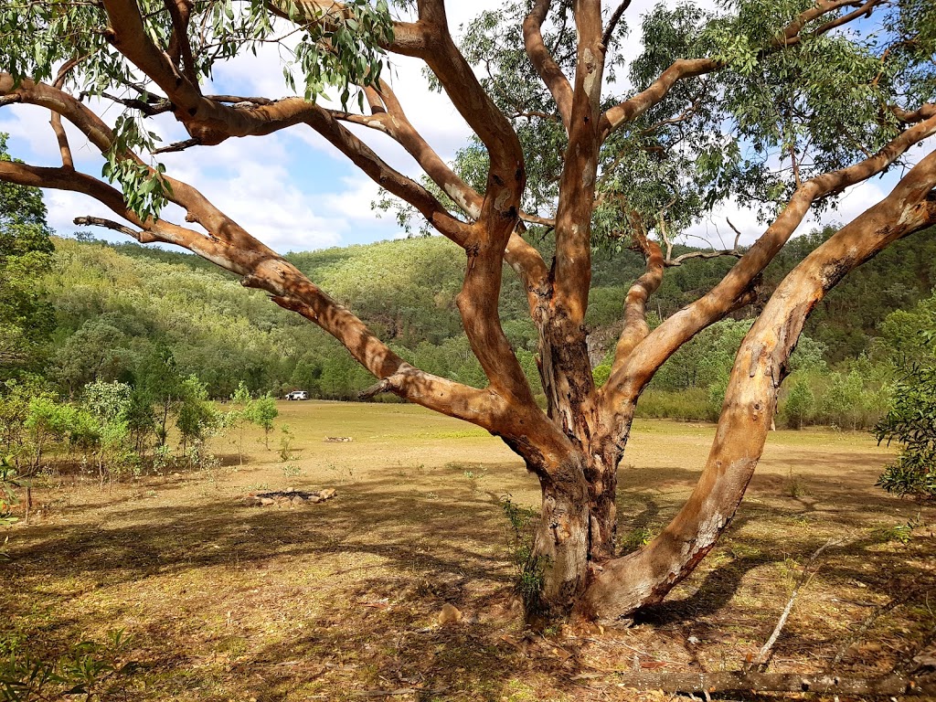 Reedy Waterhole Camping Area | campground | Sundown QLD 4380, Australia | 137468 OR +61 137468