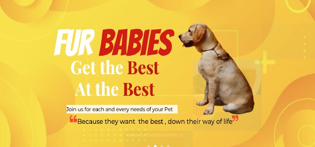 Fur Babies | Unit A2/167 Edwards St, Melrose Park SA 5039, Australia | Phone: 0424 826 256