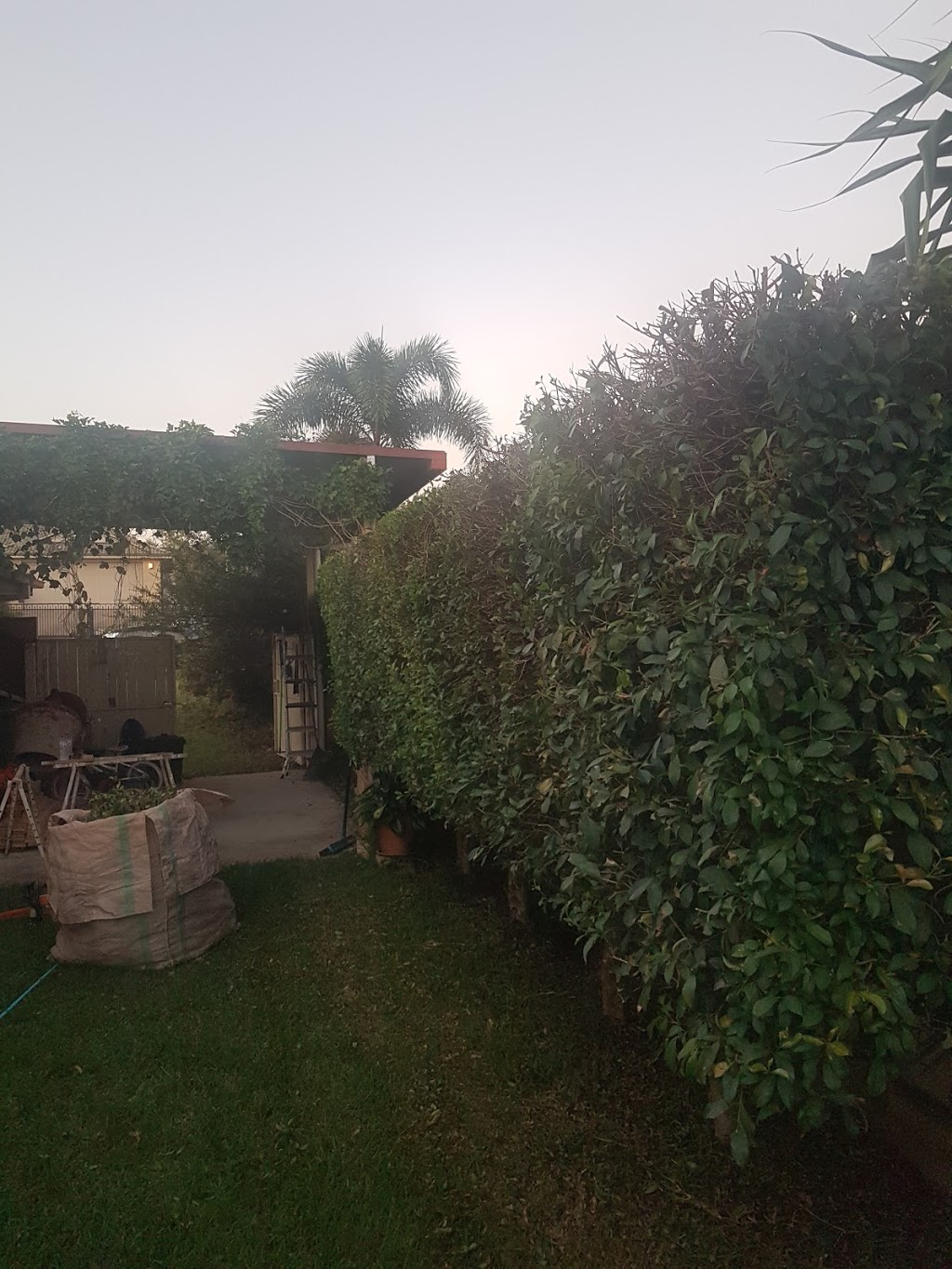 S & F tree service & landscaping | 4 Heit Ct, North Booval QLD 4304, Australia | Phone: 0451 069 876