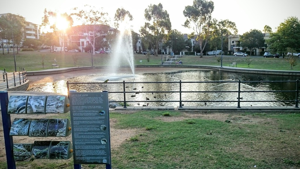 Park Central Duck Pond | 40 Parkside Cres, Campbelltown NSW 2560, Australia