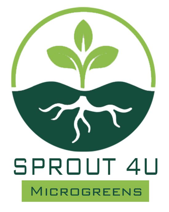 sprout 4 U |  | 88 Brights Rd, Nanango QLD 4615, Australia | 0452407115 OR +61 452 407 115