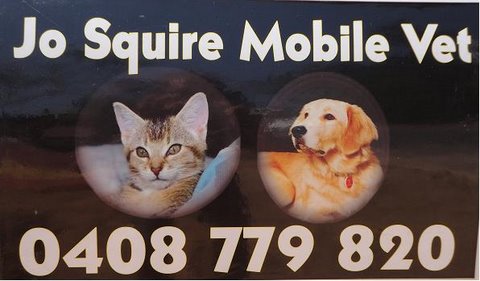 Dr Jo Squire Mobile Vet Cairns | veterinary care | 22 Granite Cl, Brinsmead QLD 4870, Australia | 0408779820 OR +61 408 779 820