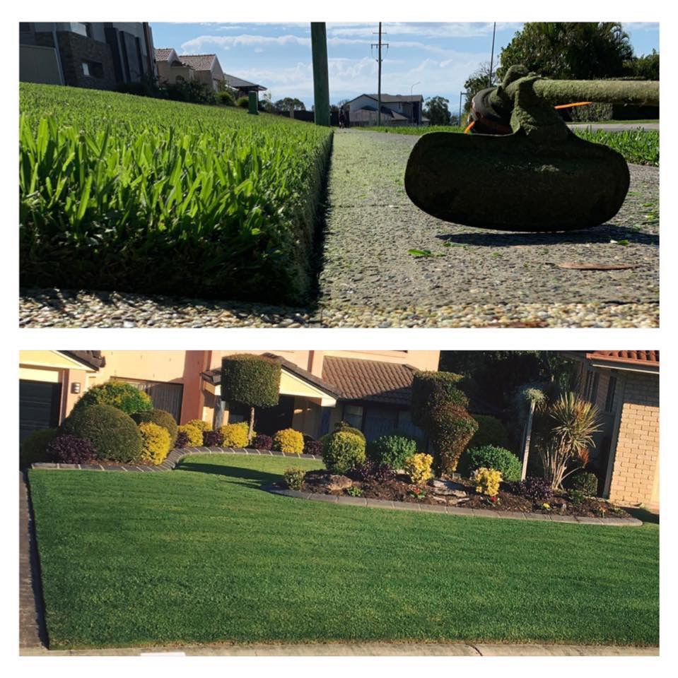 Coffs Coast Professional Lawn Care & Maintenance | Coffs Harbour Ave, Coffs Harbour NSW 2450, Australia | Phone: 0401 665 387