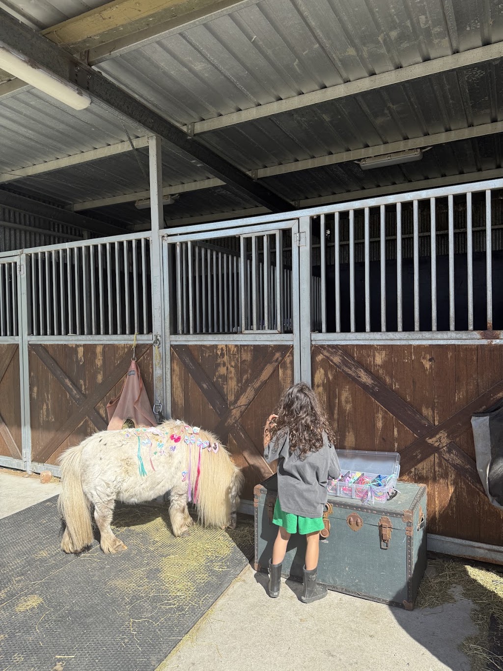 Little Farm Plays | 170 Thewlis Rd, Pakenham VIC 3810, Australia | Phone: 0409 197 969