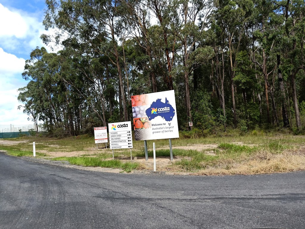 Green Shed Costa Berries | Range Road, Upper Corindi NSW 2456, Australia | Phone: (02) 6603 8000