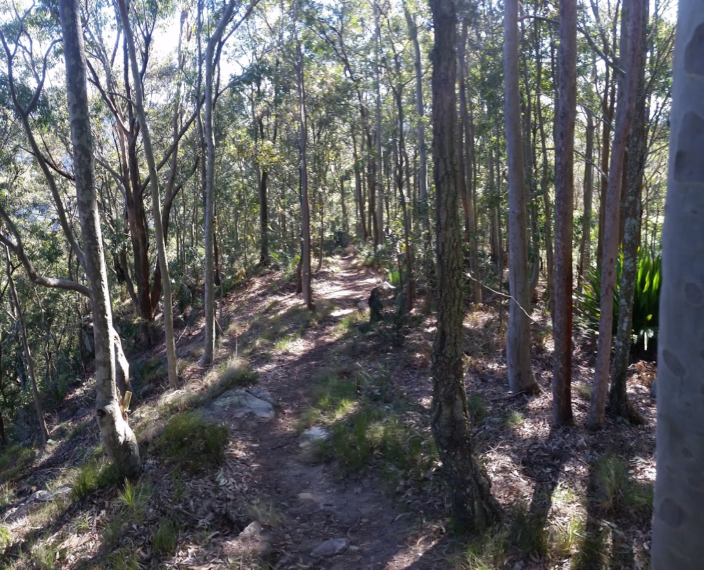 Heaton State Forest | Mount Vincent NSW 2323, Australia | Phone: 1300 655 687