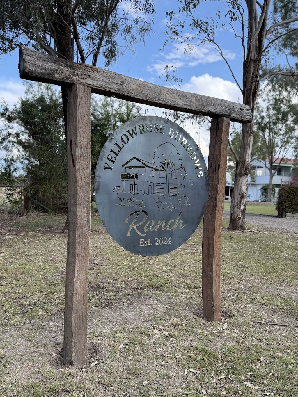 Yellow Rose Ranch | 14A Caleys Ct, Lockrose QLD 4342, Australia | Phone: 0492 857 810