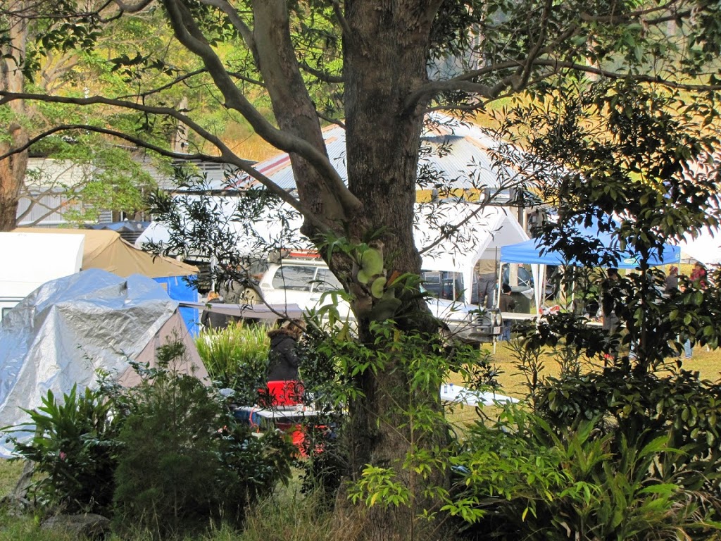 Mt Barney Wilderness Camping | Waterfall Creek Rd, Maroon QLD 4310, Australia | Phone: 0437 105 765