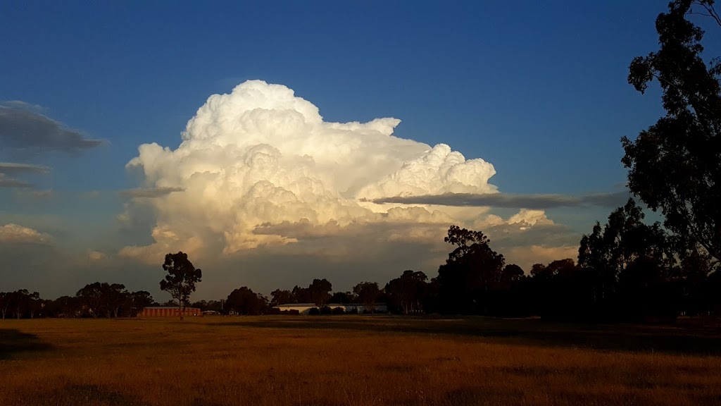 Wangaratta Common Nature Conservation Reserve | Tone Rd, Wangaratta VIC 3677, Australia | Phone: 13 19 63