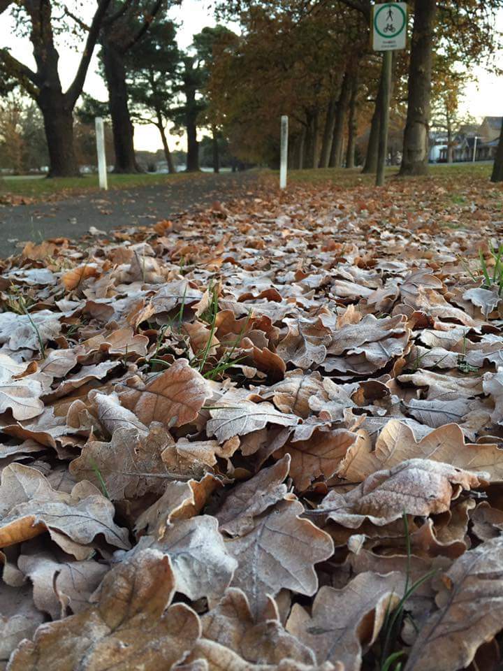 Ballarat parkrun | health | 1600 Sturt St, Ballarat Central VIC 3350, Australia