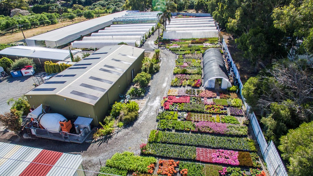 Adelaide Plant Growers | 594 States Rd, Onkaparinga Hills SA 5163, Australia | Phone: (08) 8384 7176