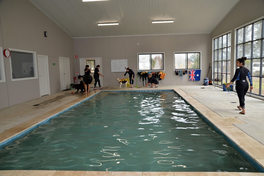 K9 Swim Hydrotherapy & Wellness Centre | Hydrotherapy Centre, 853 Kurmond Rd, North Richmond NSW 2754, Australia | Phone: 1300 787 064