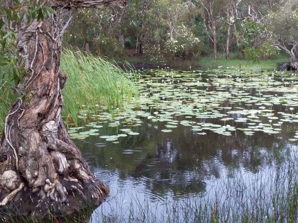 Southend Conservation Park | park | Curtis Island QLD 4680, Australia