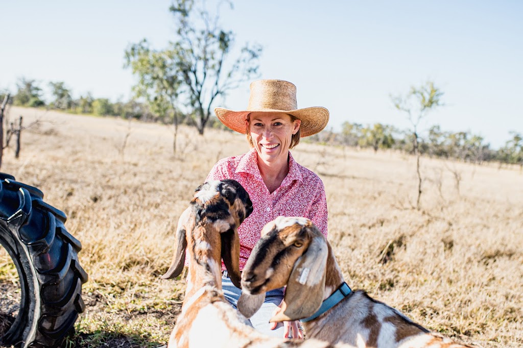 Peak View Farm | Capella QLD 4723, Australia | Phone: 0427 008 001